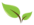 NPSpecies leaf